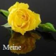 onlineparagnosten.net - tarotist Meine